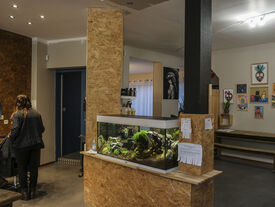 La salon s'ouvre sur un joli aquarium