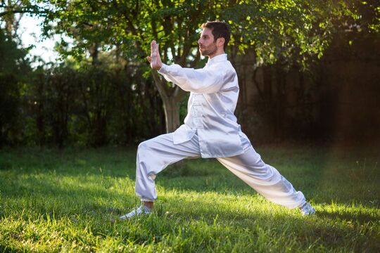 Illustration de la pratique du Tai Chi