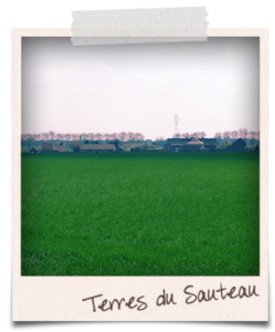 (1) Terres du Sauteau
