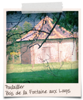 (13) Poulailler Bois de la Fontaine aux Loups